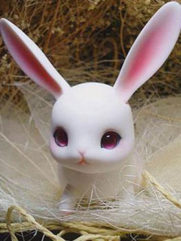 BJD's pet Ruby Ball-jointed...