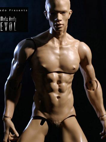 BJD Body 70cm Evol Male Body Ball-jointed Doll