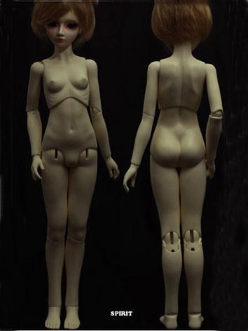 BJD 56.5cm Female Jointed Torso Body Ball Jointed Doll