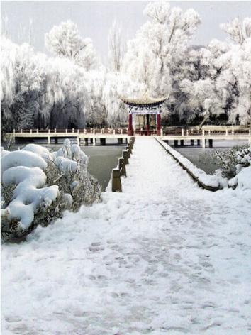 BJD Background/Scenery/Backdrop White Snowy Park Photography Settings y2976 Ball-jointed Doll