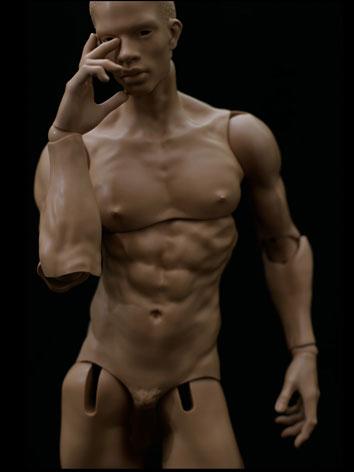 BJD 70cm Male Body Evol Ball-jointed doll