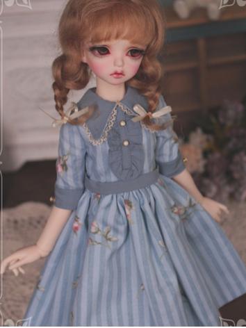 1/3 1/4 1/6 Blue Dress +Goo...