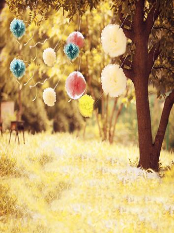 BJD Background/Scenery/Backdrop Photography Wall Settings y5348 Ball-jointed Doll