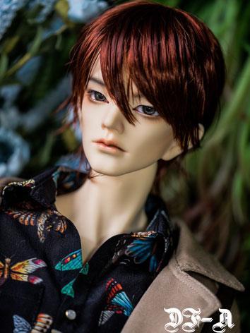 BJD Shuhe 70cm Boy Ball-jointed doll