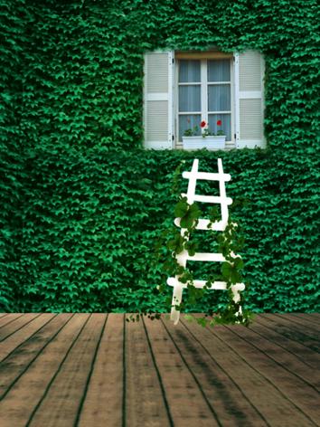 BJD Background/Scenery/Backdrop Photography Wall Settings y2233 Ball-jointed Doll