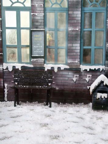 BJD Background/Scenery/Backdrop Photography Wall Settings y2184 Ball-jointed Doll