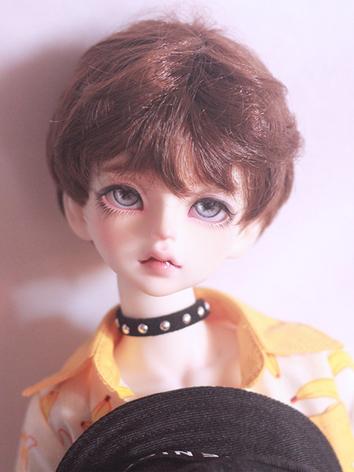 BJD Wig Boy Silver/Brown Ha...