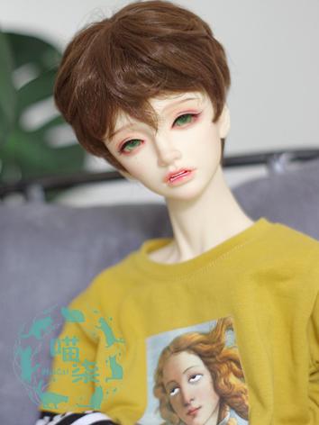 BJD Wig Boy/Girl Brown/Gold...