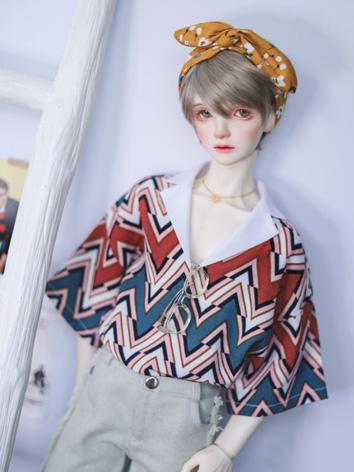 BJD 1/4 1/3 70cm Clothes V-...