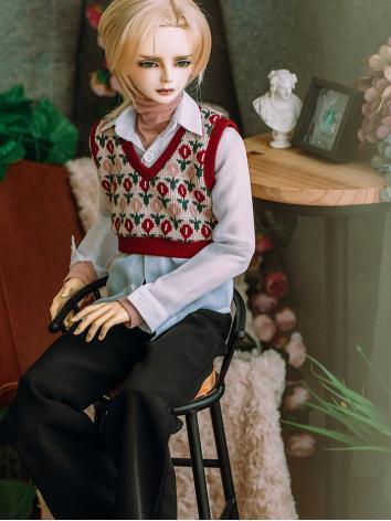 BJD Clothes Female/Male Ves...