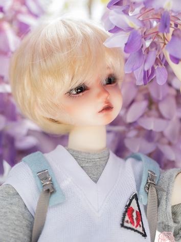 BJD 42cm Rain Boy Ball Jointed Doll