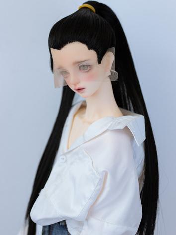 BJD Wig Girl/Boy Long Strai...