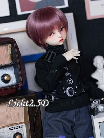 BJD Wig Girl/Boy Silver/Pur...