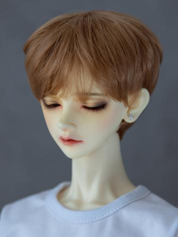 BJD Wig Boy/Male Short Hair...