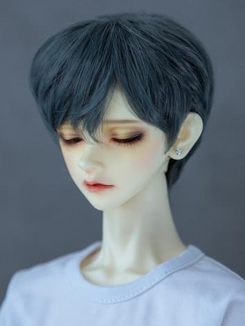 BJD Wig Boy/Male Handsome S...