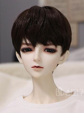 BJD Wig Boy Chocolate Color...