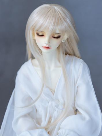 BJD Wig Boy Long Hair for Y...