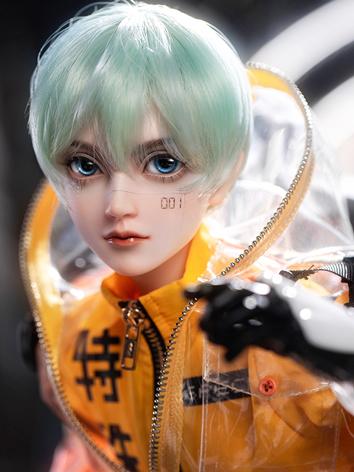 BJD Paul Meredith 62cm Boy Ball-jointed Doll