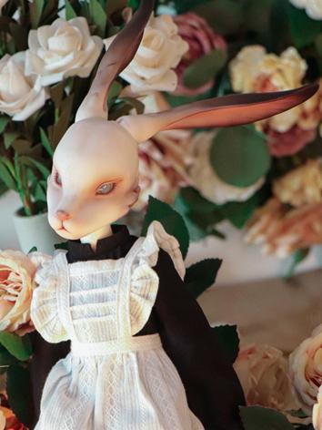 BJD Taru Ball-jointed doll