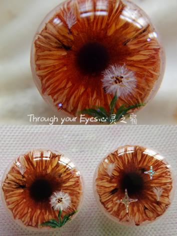 BJD Resin Eyes Blythe Eye-c...