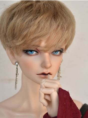 BJD Doll Wig Men and Women ...