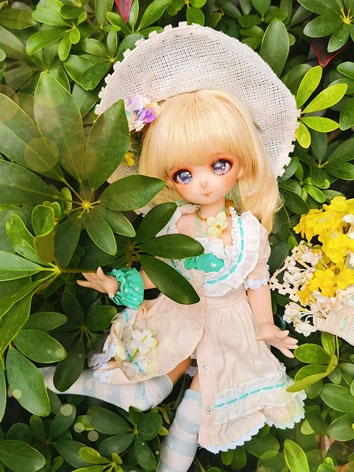 BJD Clothes Girl Dress Suit for MSD/MDD Size Ball-jointed Doll