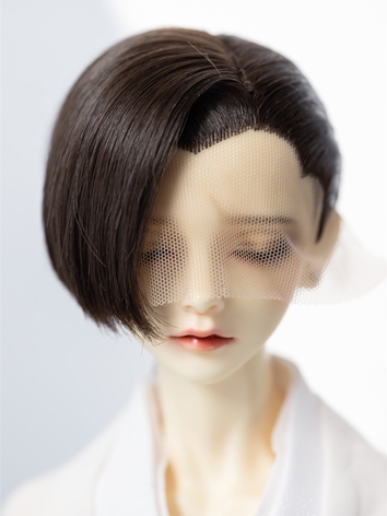 BJD Wig Style Short Hair Hi...