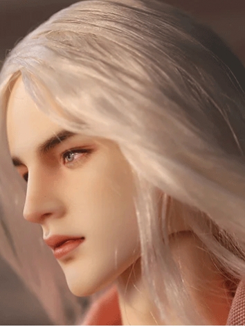 BJD Gabriel Head Ball Jointed Doll