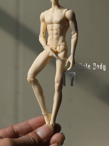 BJD Male Body 17cm Evolve B...