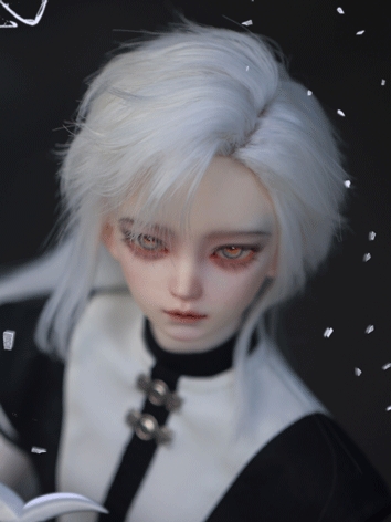 BJD Storm 60cm Boy Ball Joi...