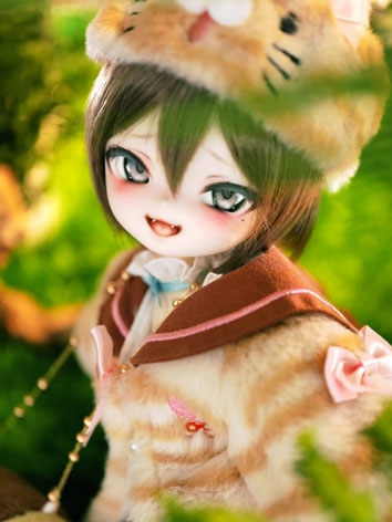BJD Sou Cat 40cm Girl Boy Ball Jointed Doll