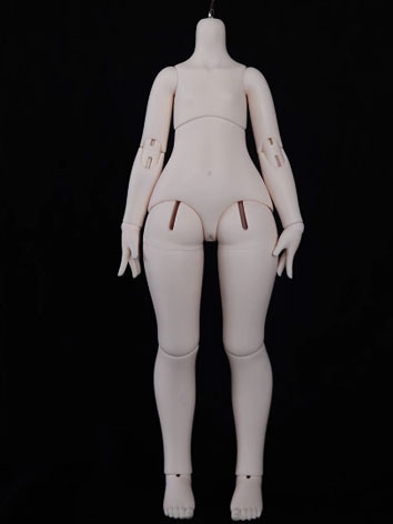 BJD Body 40cm (Human Leg) 4...