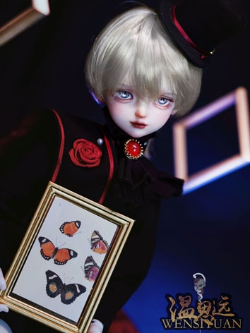 BJD Wen Si Yuan 45cm Boy Ball-jointed Doll
