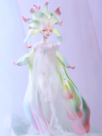 BJD Fullset 18th Anniversary Bash Big Flower Man Anson 48cm Girl Ball-jointed doll