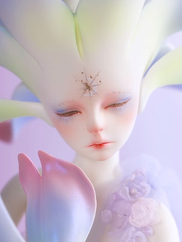 BJD 18th Anniversary Bash Big Flower Man Moment 50cm Boy Ball-jointed doll