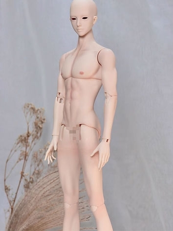 BJD Body 1/4 Special Male B...