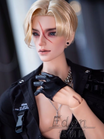 BJD Wig Stye Wig Short Hair...