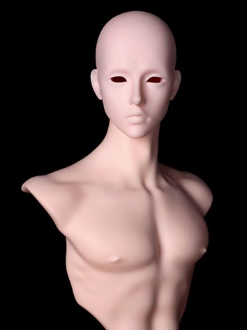 BJD Upperclassman-Jun Sen Head for 75cm Ball Jointed Doll