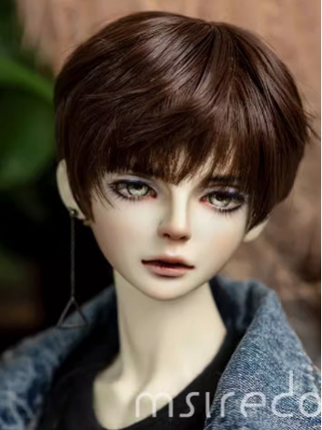 BJD Wig Brown Short Style W...