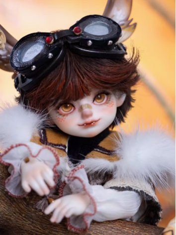 BJD Doll Fullset Aiden 26cm...