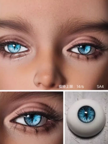 BJD Plaster Resin Eyes (Mon...