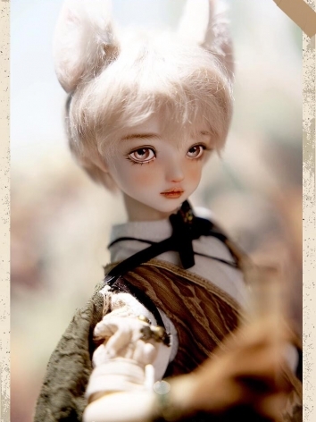 BJD Doll Todd 45cm Boy Ball...