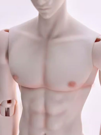 12% OFF BJD Body 1/4 Specia...