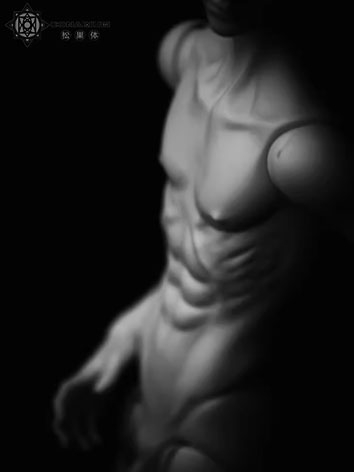 BJD Body 49cm Boy Body (One...