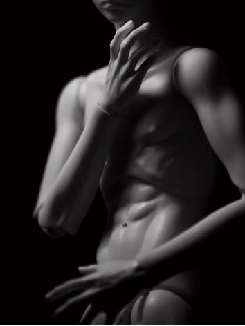 BJD Body 49cm Boy Body (Two...