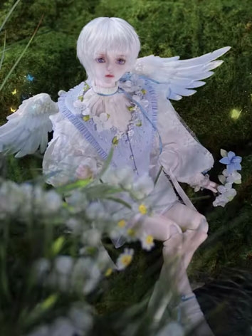 Only for show BJD Merlin 45...