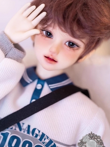 BJD Leo Girl Boy MSD Ball-jointed Doll