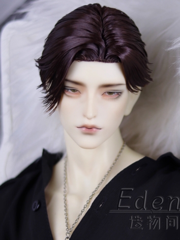 BJD Male Brown Style Wig Hi...