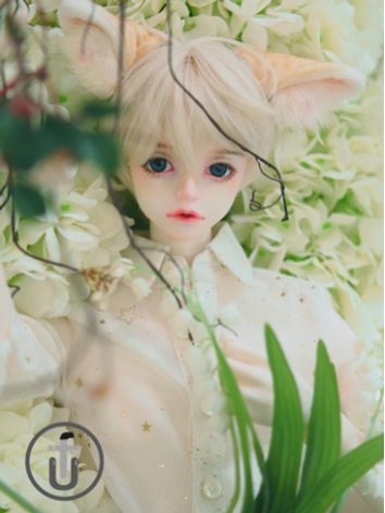 BJD 302 70cm Boy Ball-joint...