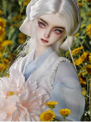 SHOW ONLY BJD A Lang 46.5cm Ball-jointed doll